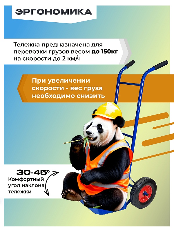 /upload/resize_cache/iblock/8c2/800_800_0/cf627vkff0ghvccorjem3bwjnibaxc0f.jpg