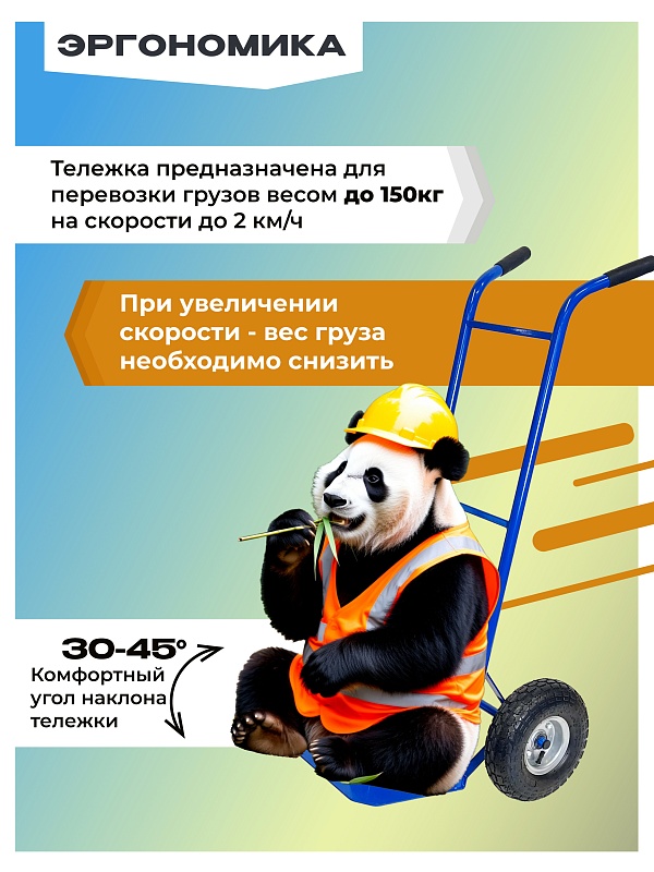 /upload/resize_cache/iblock/9e7/800_800_0/g8fph13oc6o0pjesghkp3tdsi7sh2qez.jpg