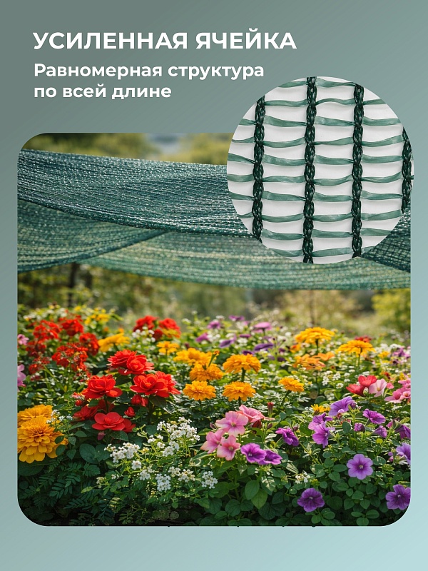 /upload/resize_cache/iblock/a51/800_800_0/s36cg3c0ln1f9nm360m9qci5k51rmpp6.jpg
